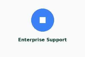 Enterprise Support (24/7)